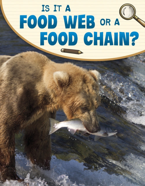 Is It A Food Web Or A Food Chain