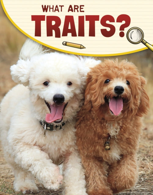 What Are Traits