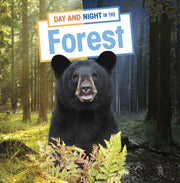Day & Night In The Forest