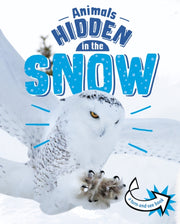 Animals Hidden In The Snow