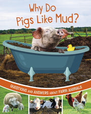 Why Do Pigs Like Mud