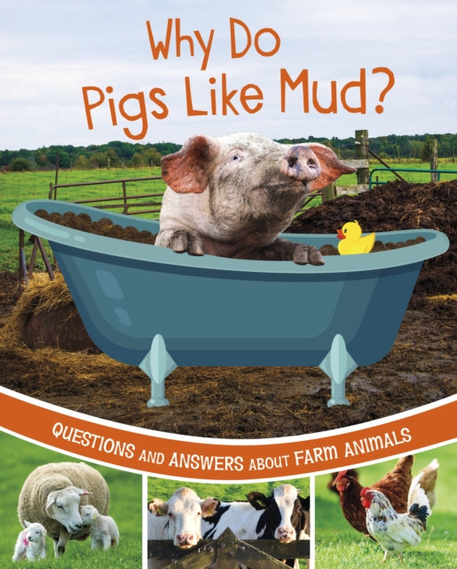 Why Do Pigs Like Mud