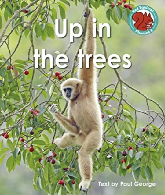 Up In The Trees