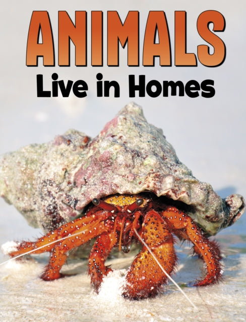 Animals Live In Homes