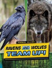 Ravens & Wolves Team Up