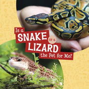 Is A Snake Or A Lizard The Pet For Me