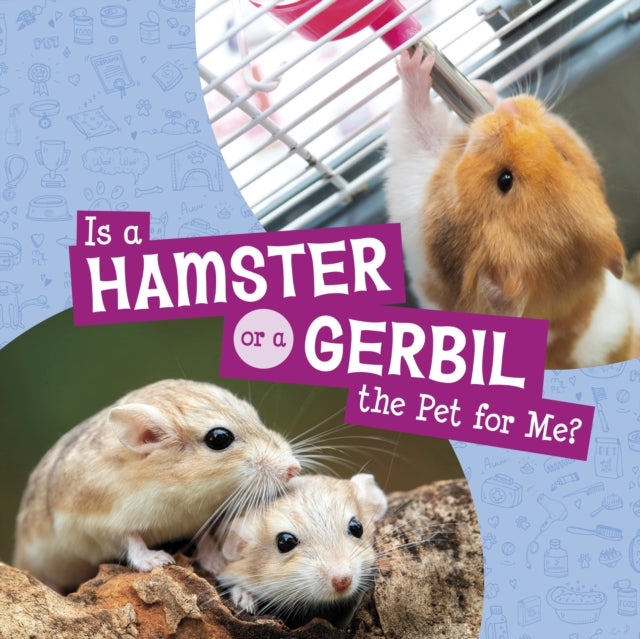 Is A Hamster Or A Gerbil The Pet For Me