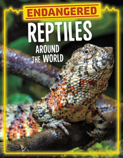 Endangered Reptiles Around The World