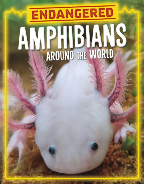 Endangered Amphibians Around The World