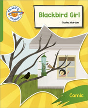 Reading Planet Rocket Phonics Target Pra