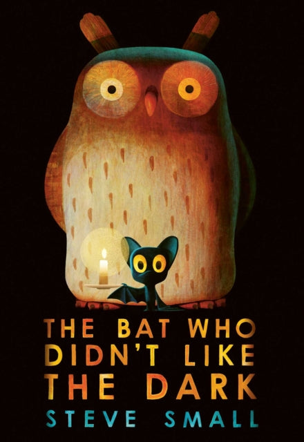 Bat Who Didnt Like The Dark By Small, Steve