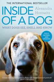 Inside Of A Dog Pa