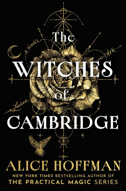 Witches Of Cambridge By Hoffman, Alice