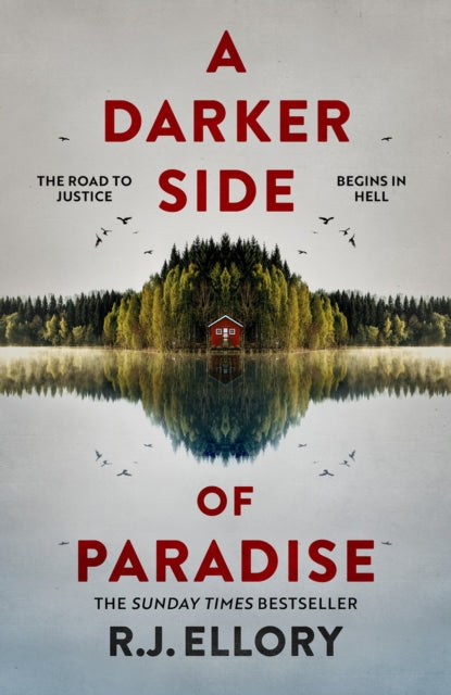 Darker Side Of Paradise By Ellory, R.j.