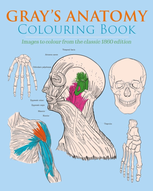 Grays Anatomy Colouring Book