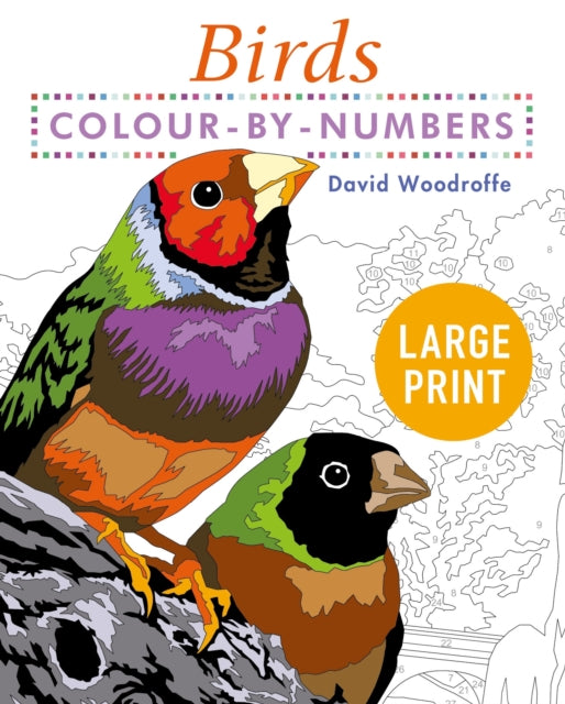 Birds Colour By Numbers Large Print