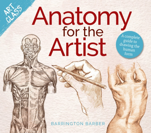 Art Class Anatomy For The Artist By Barber, Barrington