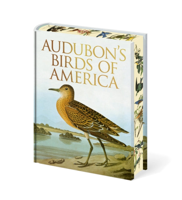 Audubons Birds Of America By Audubon, John James