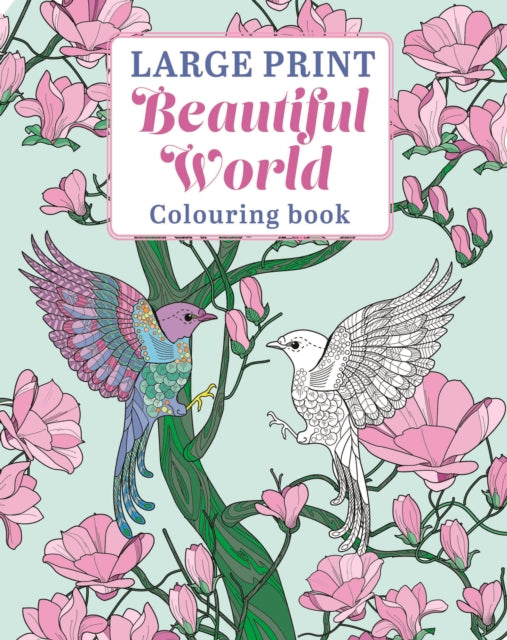Large Print Beautiful World Colouring Bk By Willow, Tansy