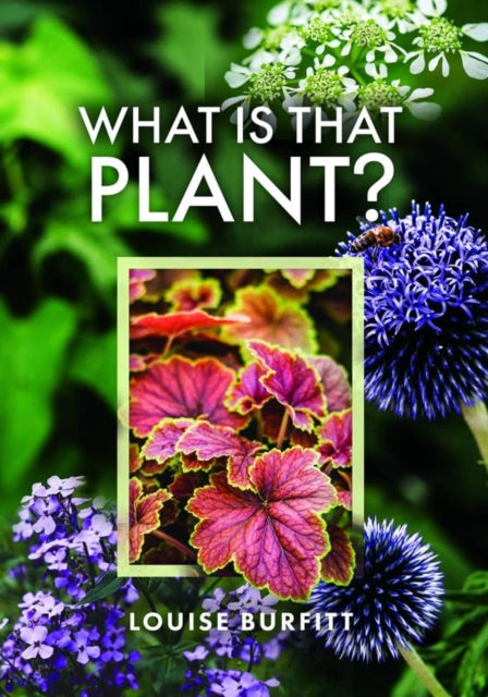 What Is That Plant