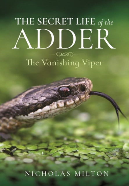 Secret Life Of The Adder