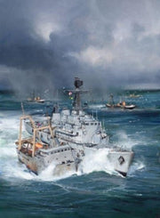 Royal Navy & Fishery Protection