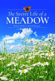 Secret Life Of A Meadow By Wall, Wilson