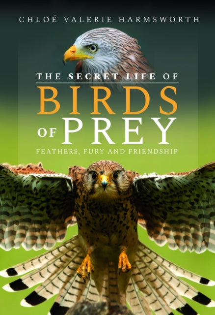 Secret Life Of Birds Of Prey