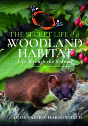 Secret Life Of A Woodland Habitat By Harmsworth, Chlo  Va