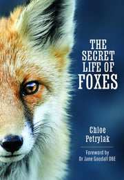 Secret Life Of Foxes By Petrylak, Cloe
