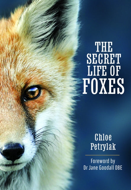 Secret Life Of Foxes By Petrylak, Cloe