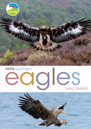 Rspb Spotlight Eagles