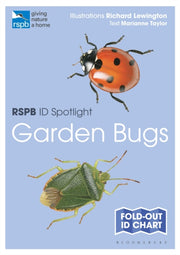 Rspb Id Spotlight Garden Bugs