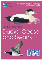 Rspb Id Spotlight Ducks Geese