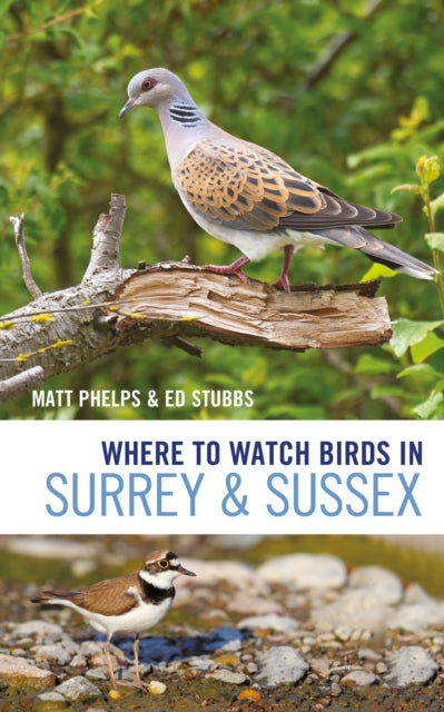 Where To Watch Birds In Surrey & Sussex By Phelps, Matthew