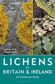 Lichens Of Britain & Ireland By Yahr, Rebecca