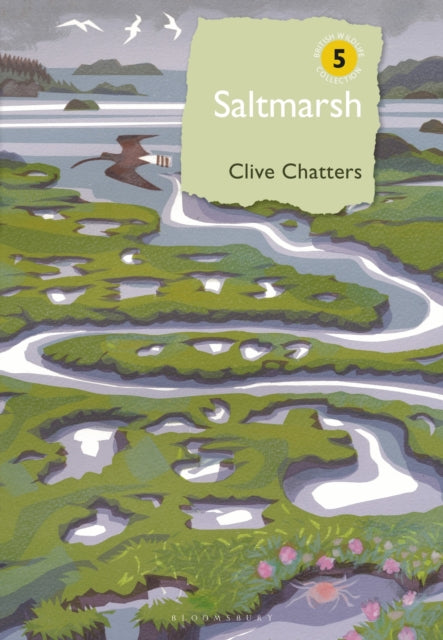 Bwc Saltmarsh
