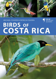 Birds Of Costa Rica By Fogden, Michael