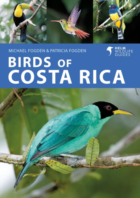 Birds Of Costa Rica By Fogden, Michael