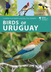 Birds Of Uruguay