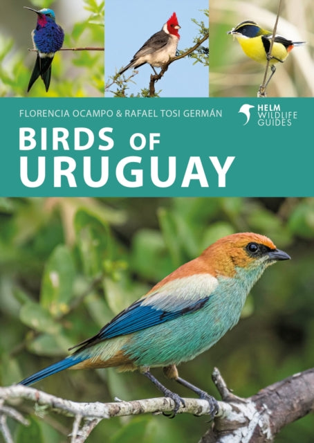 Birds Of Uruguay