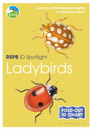 Rspb Id Spotlight Ladybirds