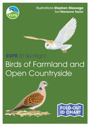 Rspb Id Spotlight Birds Of Farm By Taylor Marianne