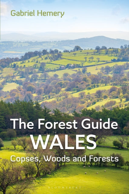 Forest Guide Wales