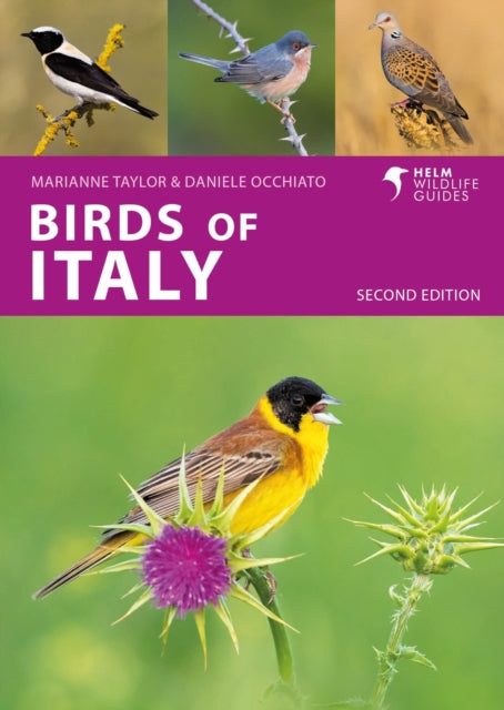 Birds Of Italy By Occhiato, Daniele