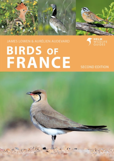 Birds Of France By Lowen, James