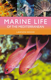 Marine Life Of The Mediterranean By Wood, Lawson