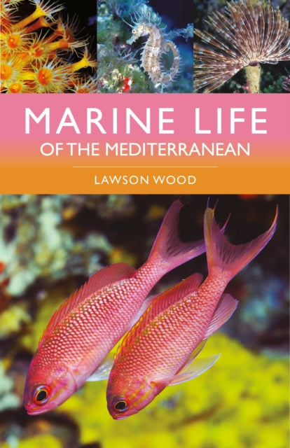 Marine Life Of The Mediterranean By Wood, Lawson