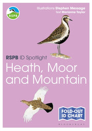 Rspb Id Spotlight Birds Of Heath By Taylor Marianne