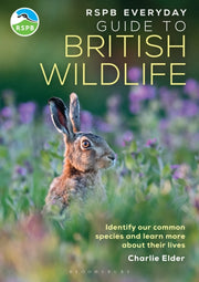 Everyday Guide To British Wildlife